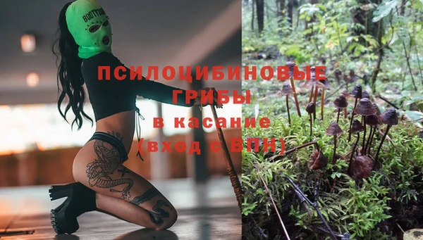 каннабис Карпинск