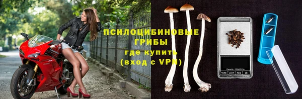каннабис Карпинск