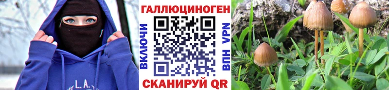 Галлюциногенные грибы Cubensis  Купить  Краснокаменск 